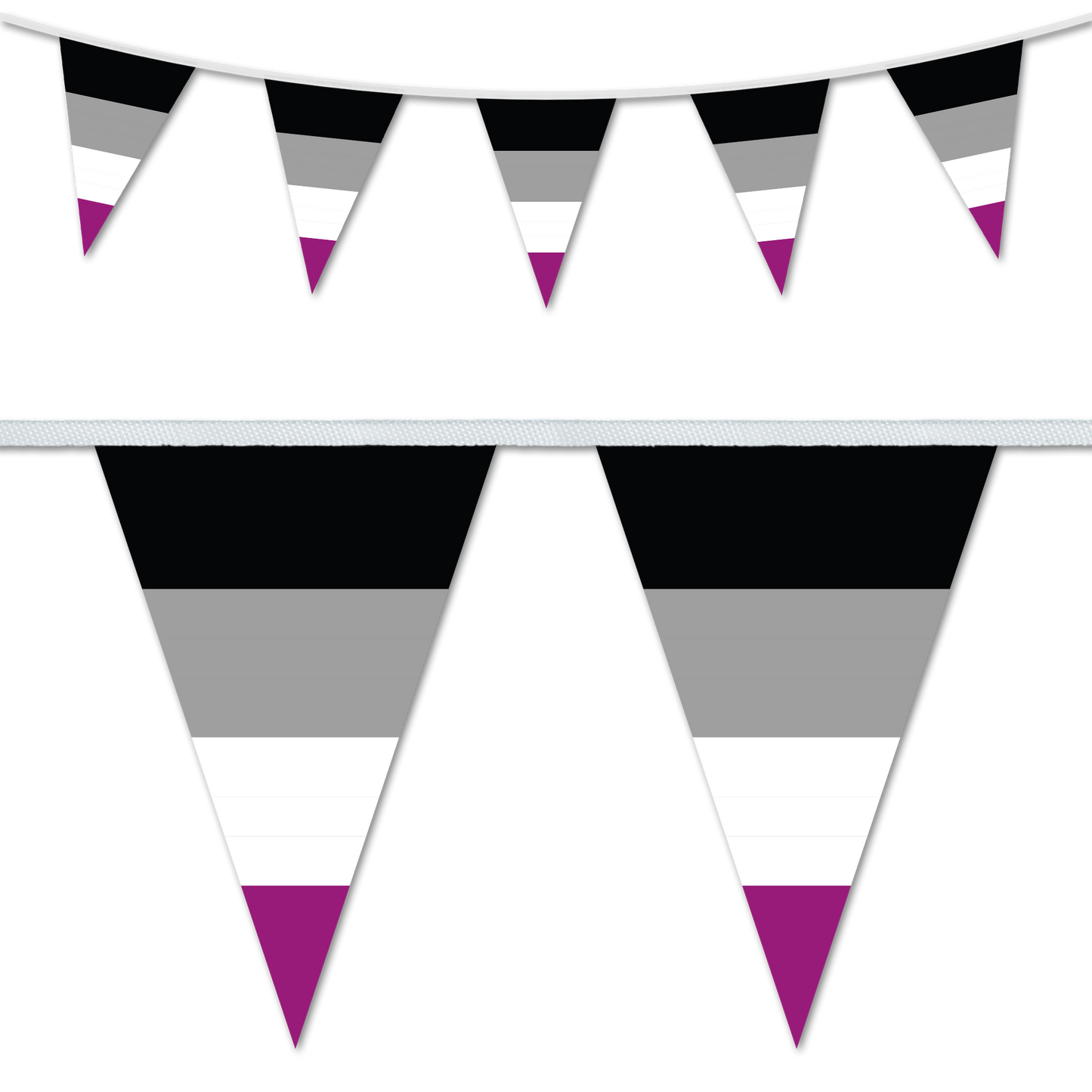 Asexual Pride Triangular Bunting