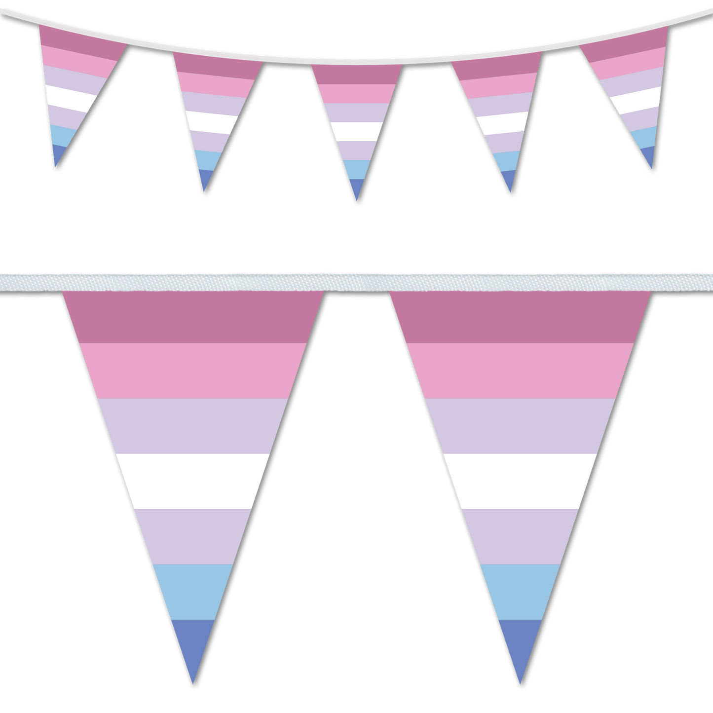Bi Gender Pride Bunting Decoration