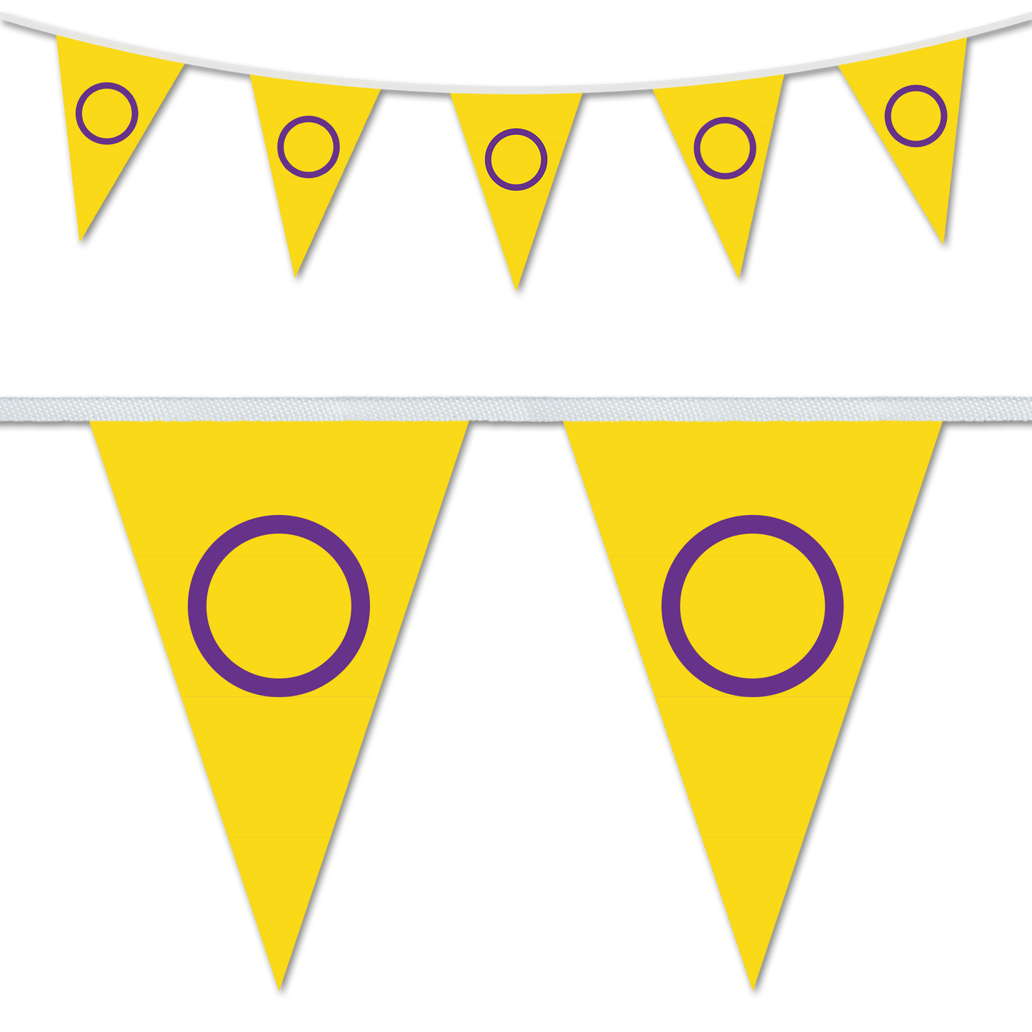 Intersex Pride Triangular Bunting