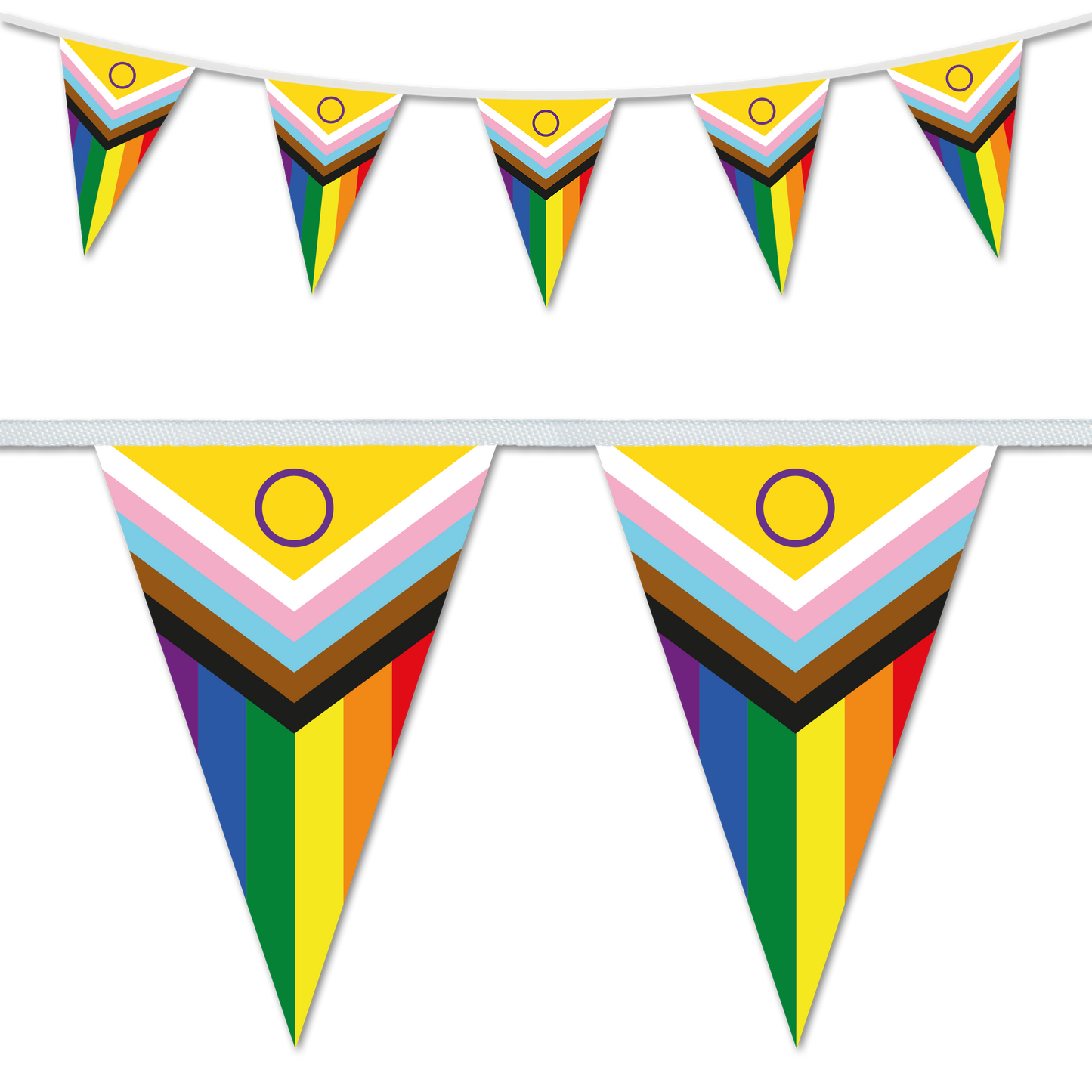 Intersex Inclusive Progress Pride Bunting Decoration