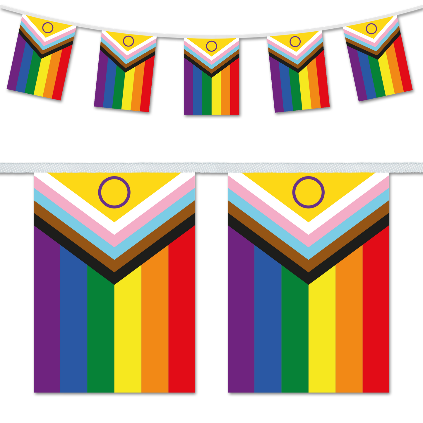 Intersex Inclusive Progress Pride Bunting Decoration
