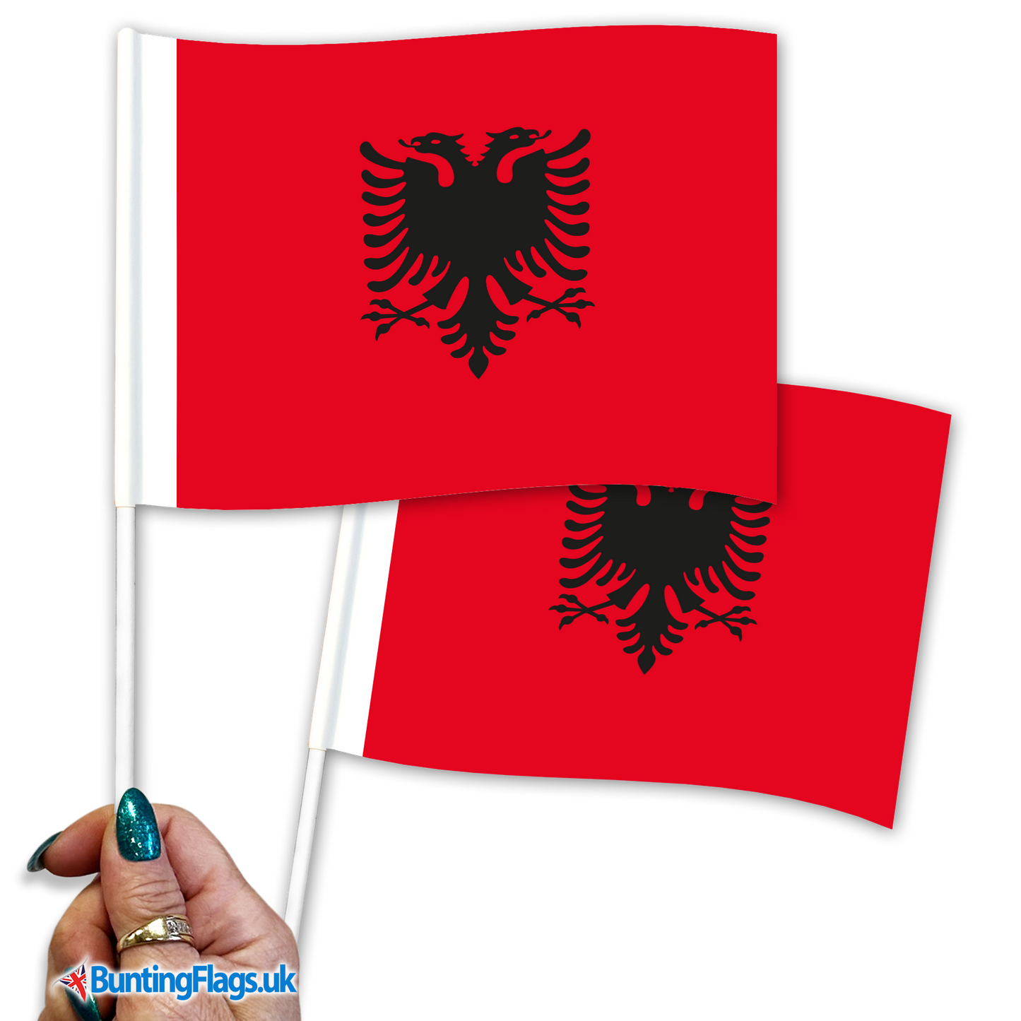 Albania hand waving flags