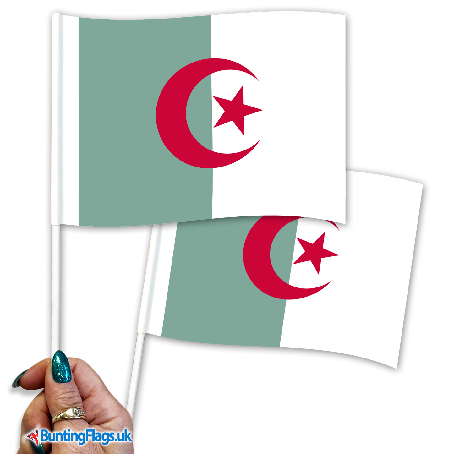 Algeria hand waving flags