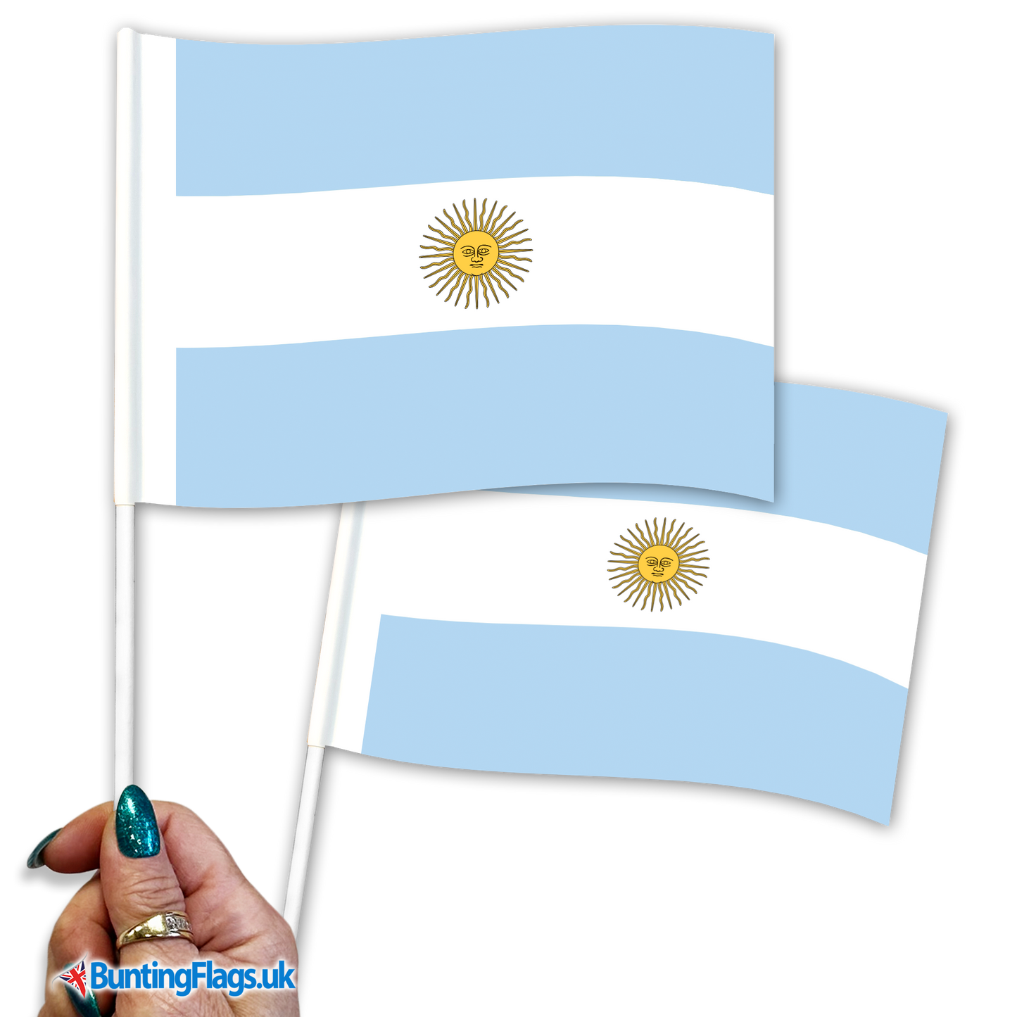Argentina hand waving flags