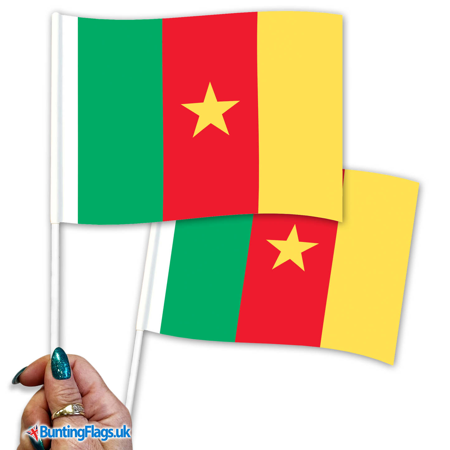Cameroon hand waving flags