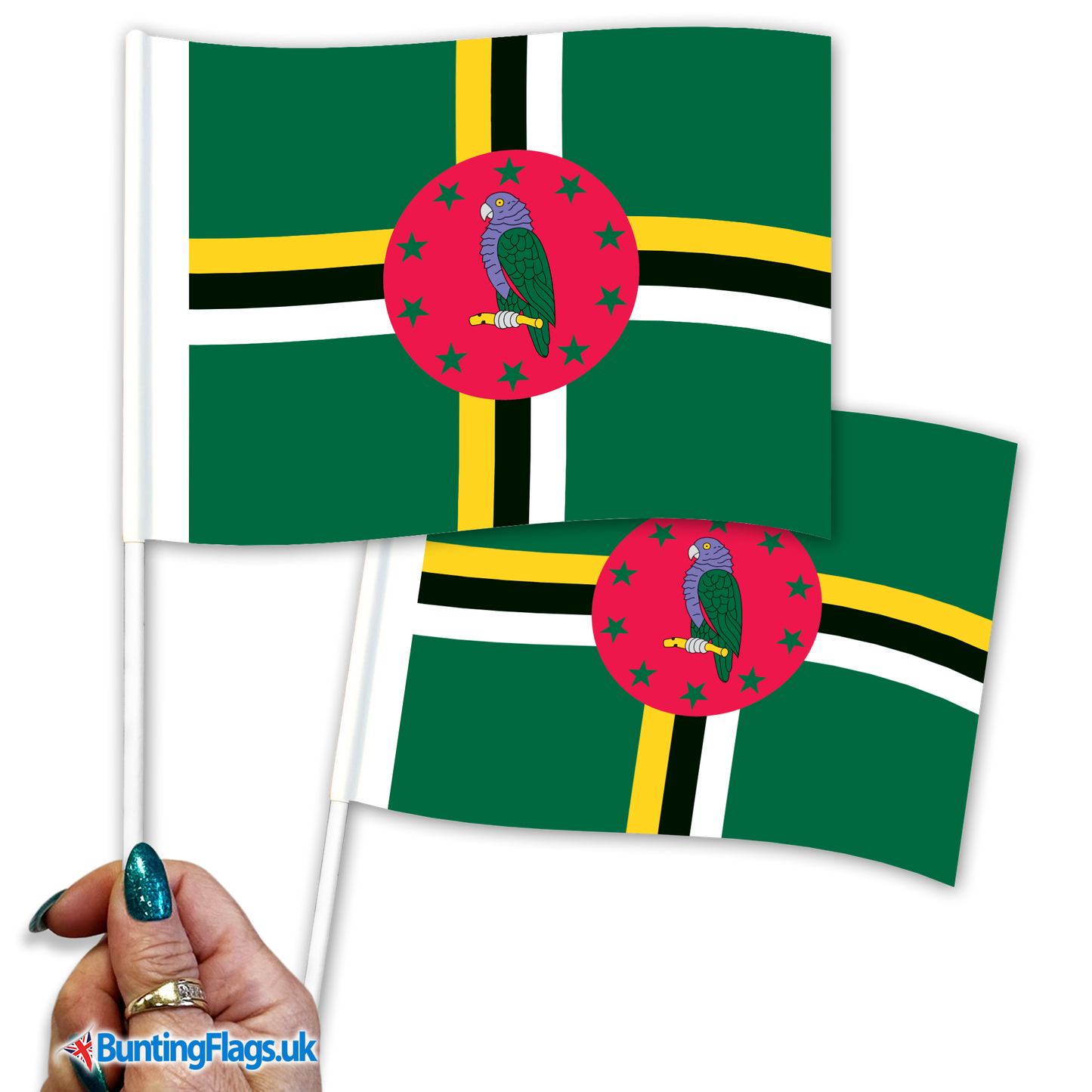 Dominica hand waving flags