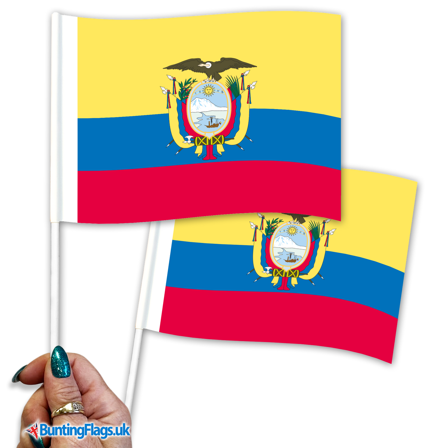 Ecuador hand waving flags