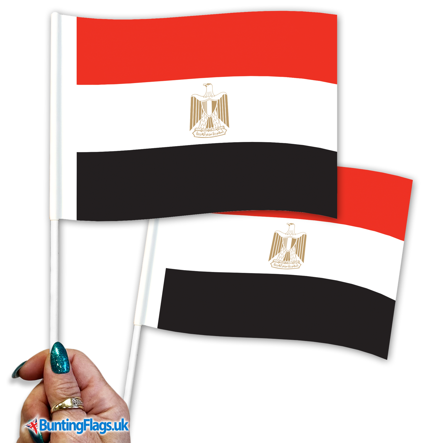 Egypt hand waving flags