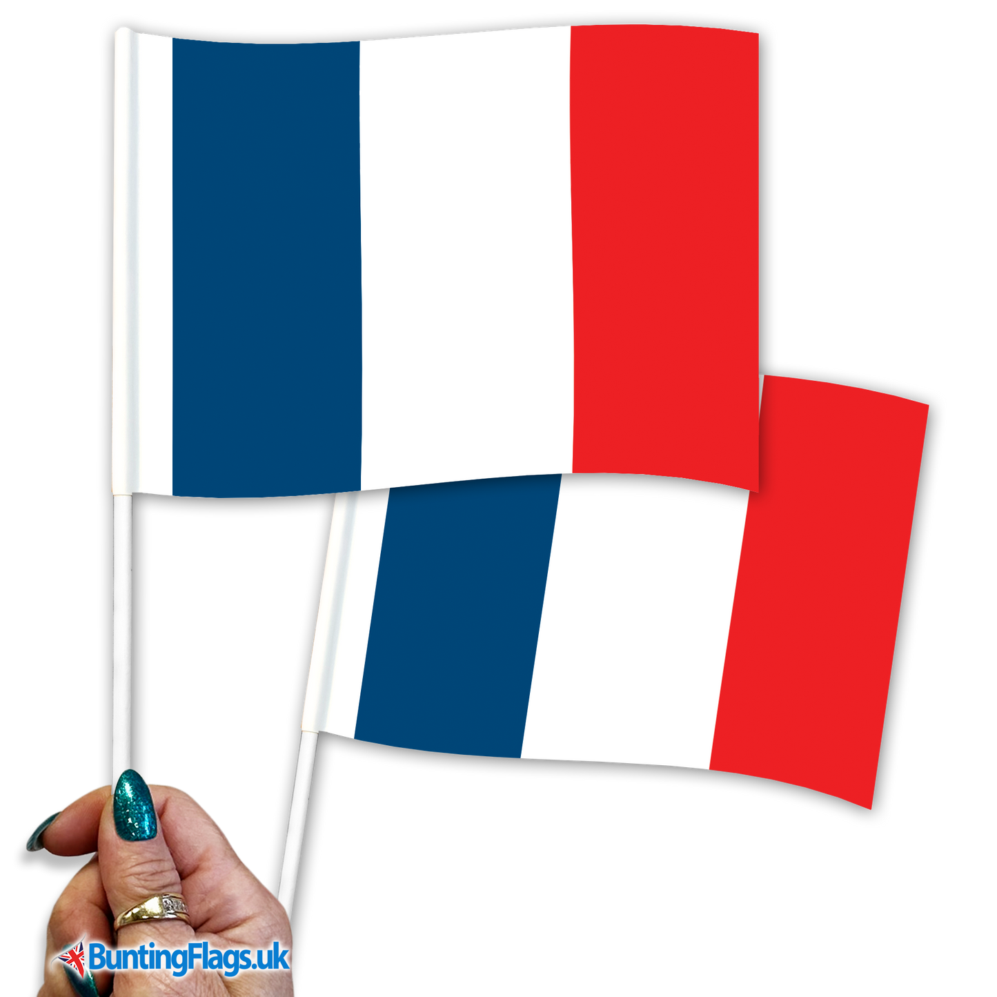 France hand waving flags