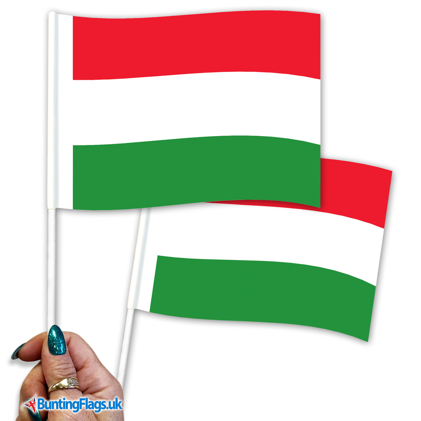 Hungary hand waving flags
