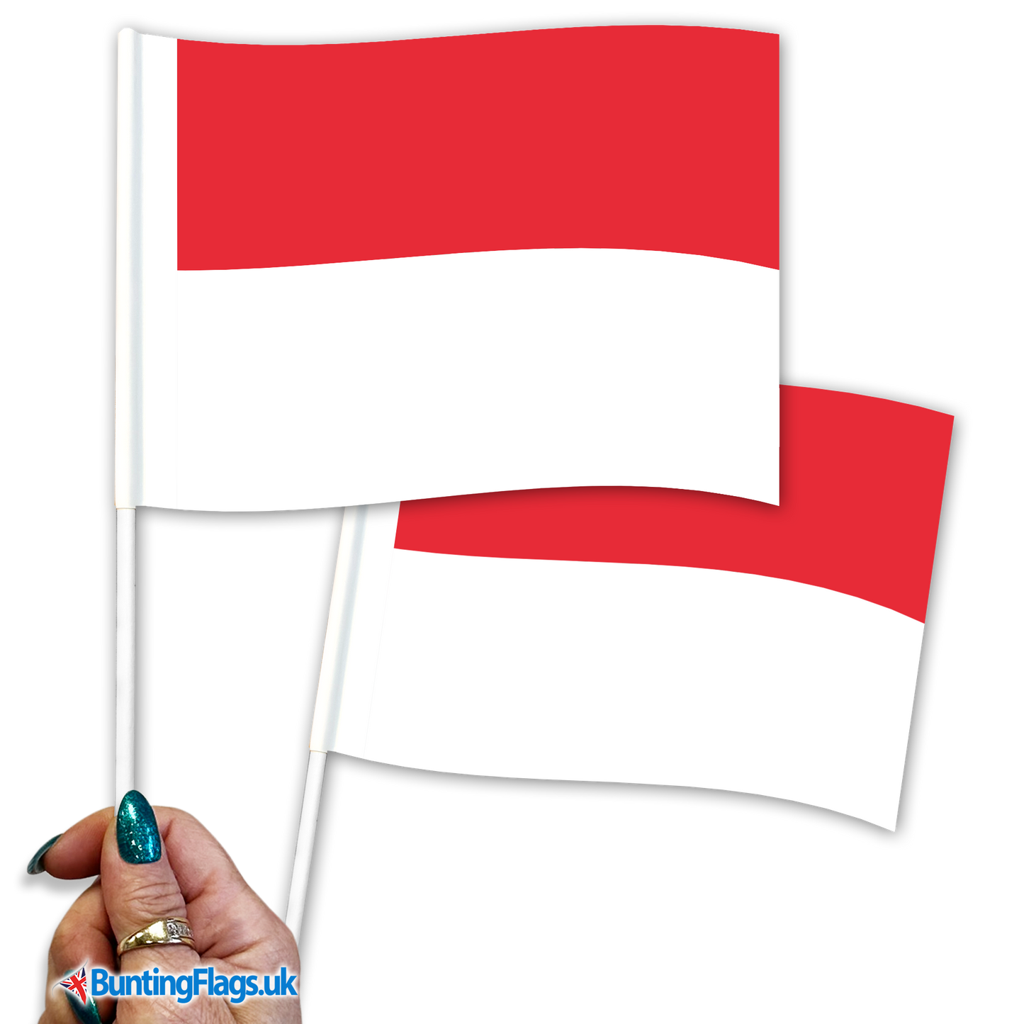 Indonesia hand waving flags