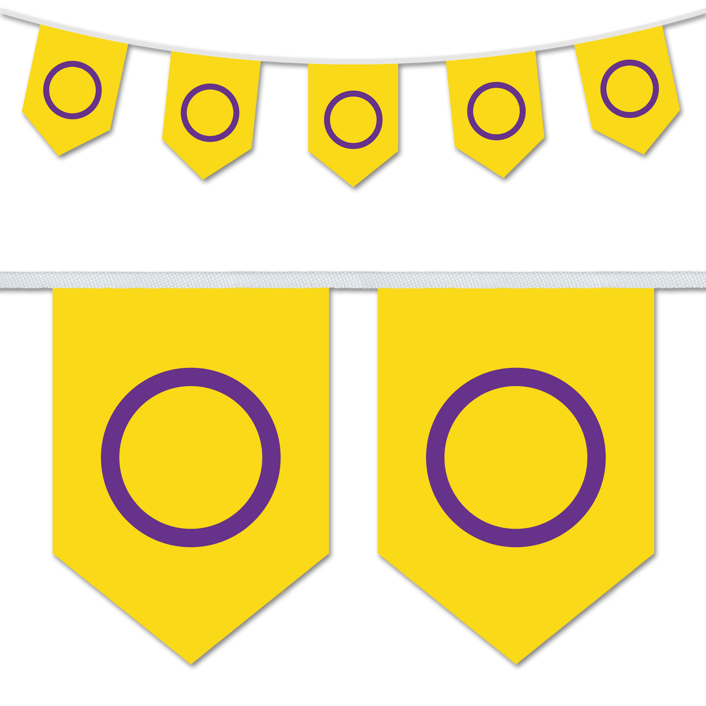 Intersex Pride A5 Chevron Bunting