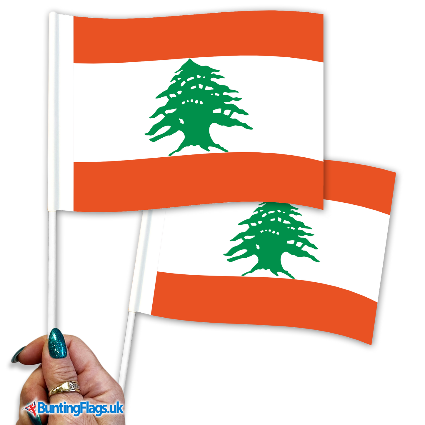 Lebanon hand waving flags