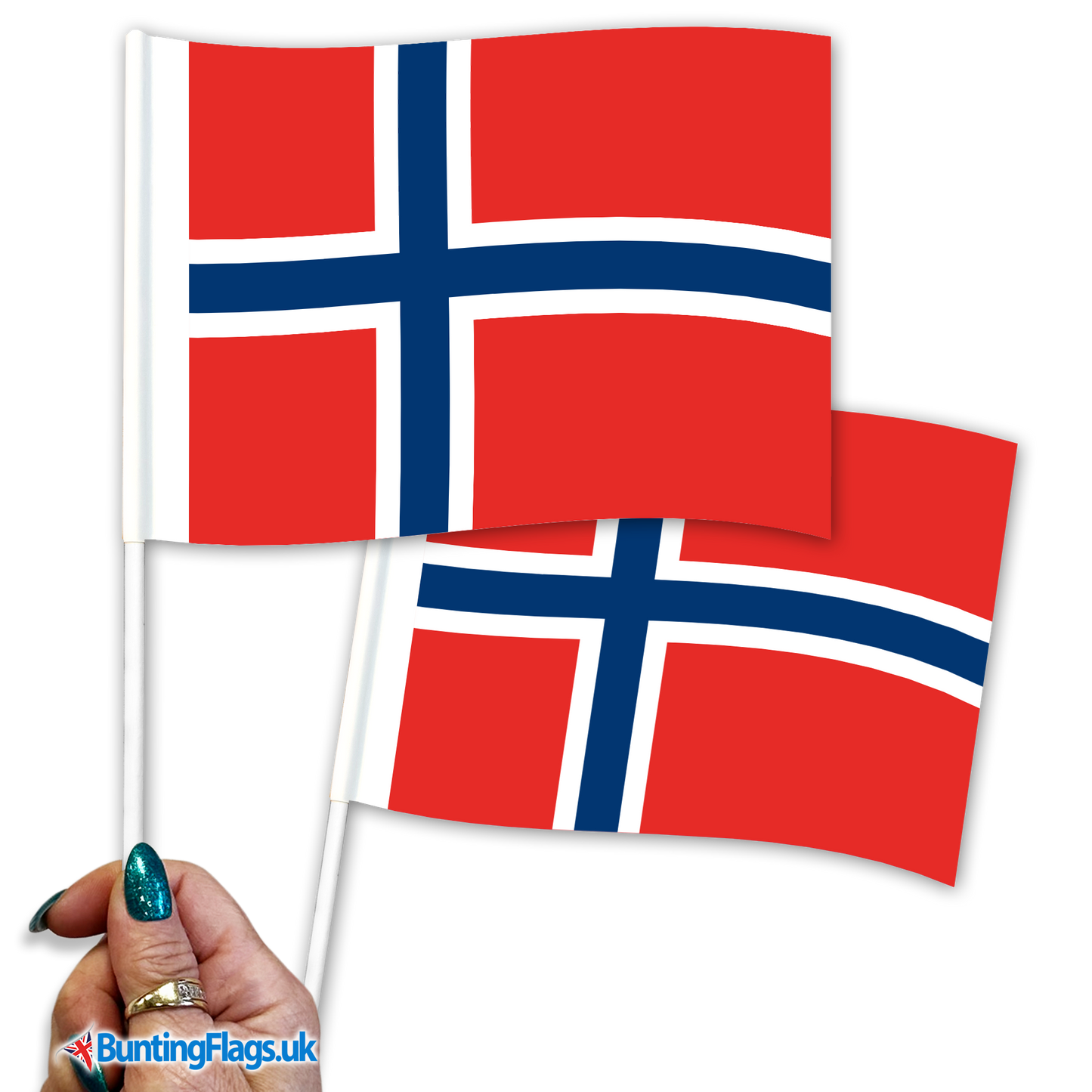 Norway hand waving flags