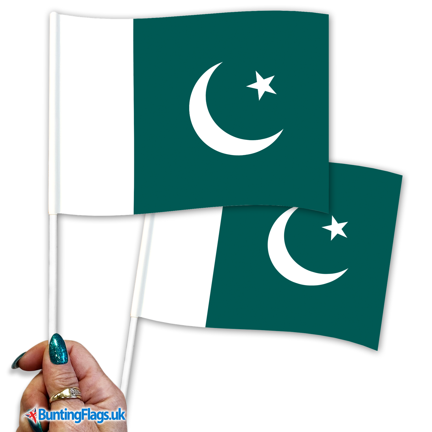 Pakistan hand waving flags