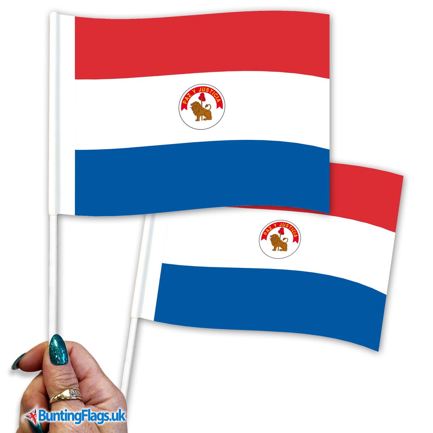 Paraguay hand waving flags