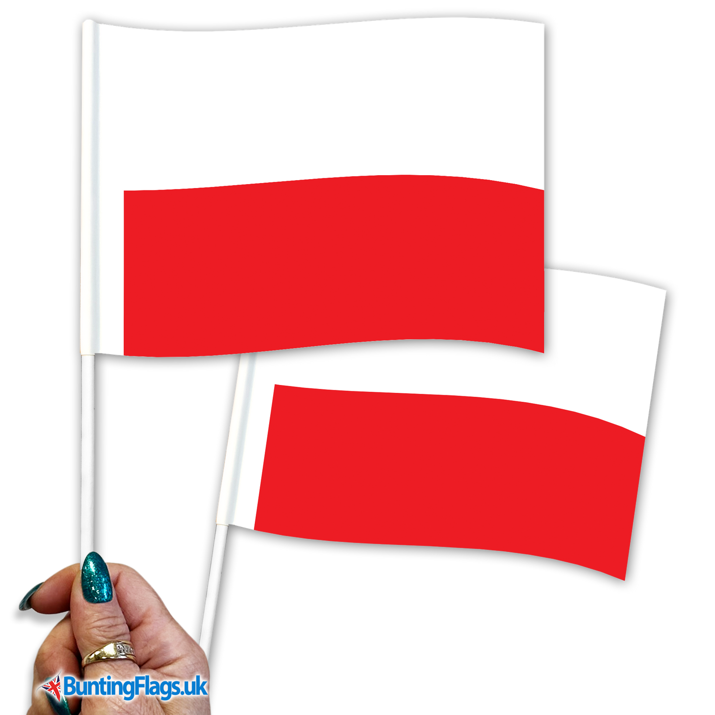 Poland hand waving flags