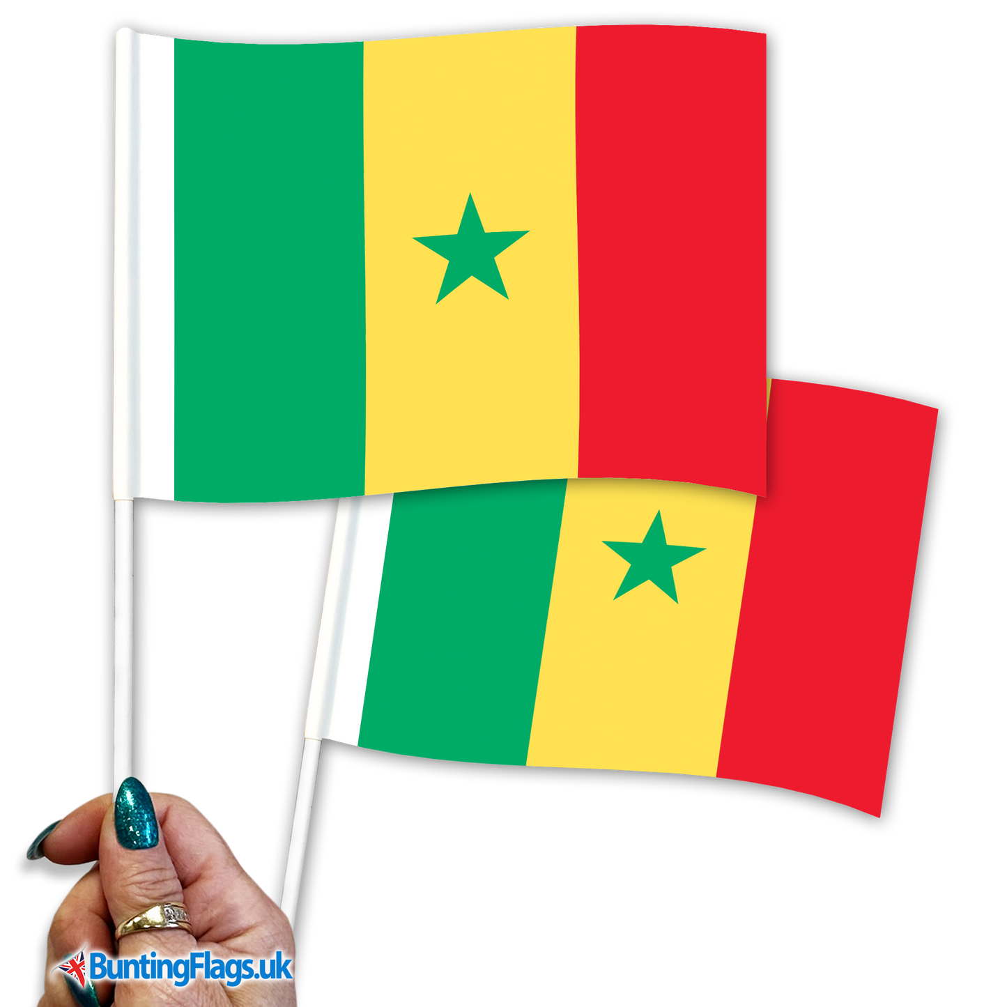 Senegal hand waving flags