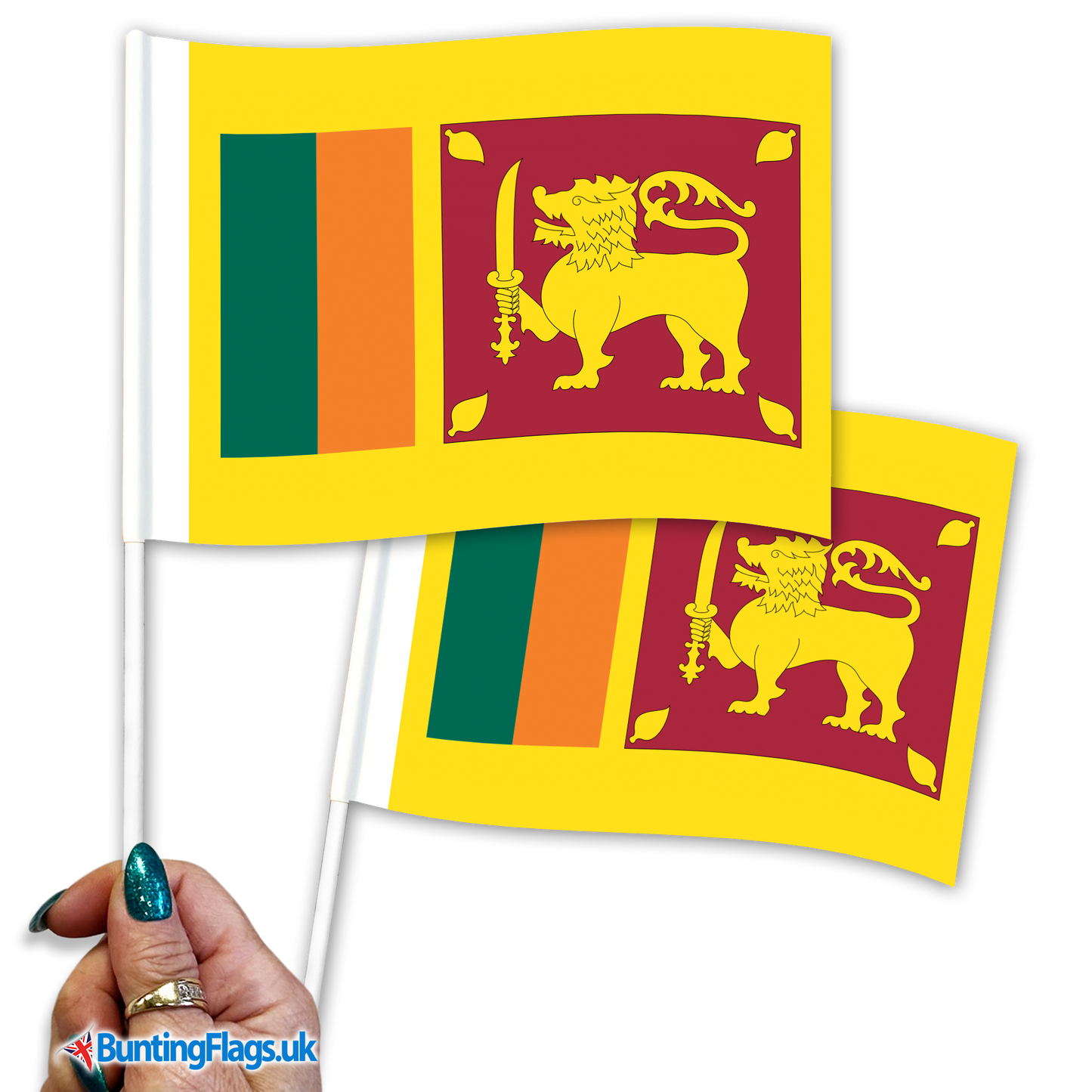 Sri Lanka hand waving flags