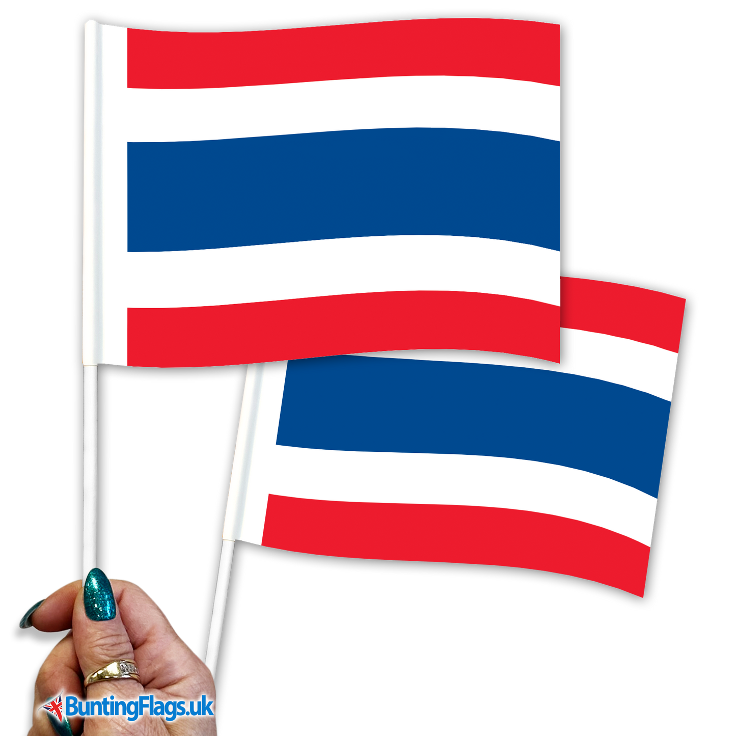 Thailand hand waving flags