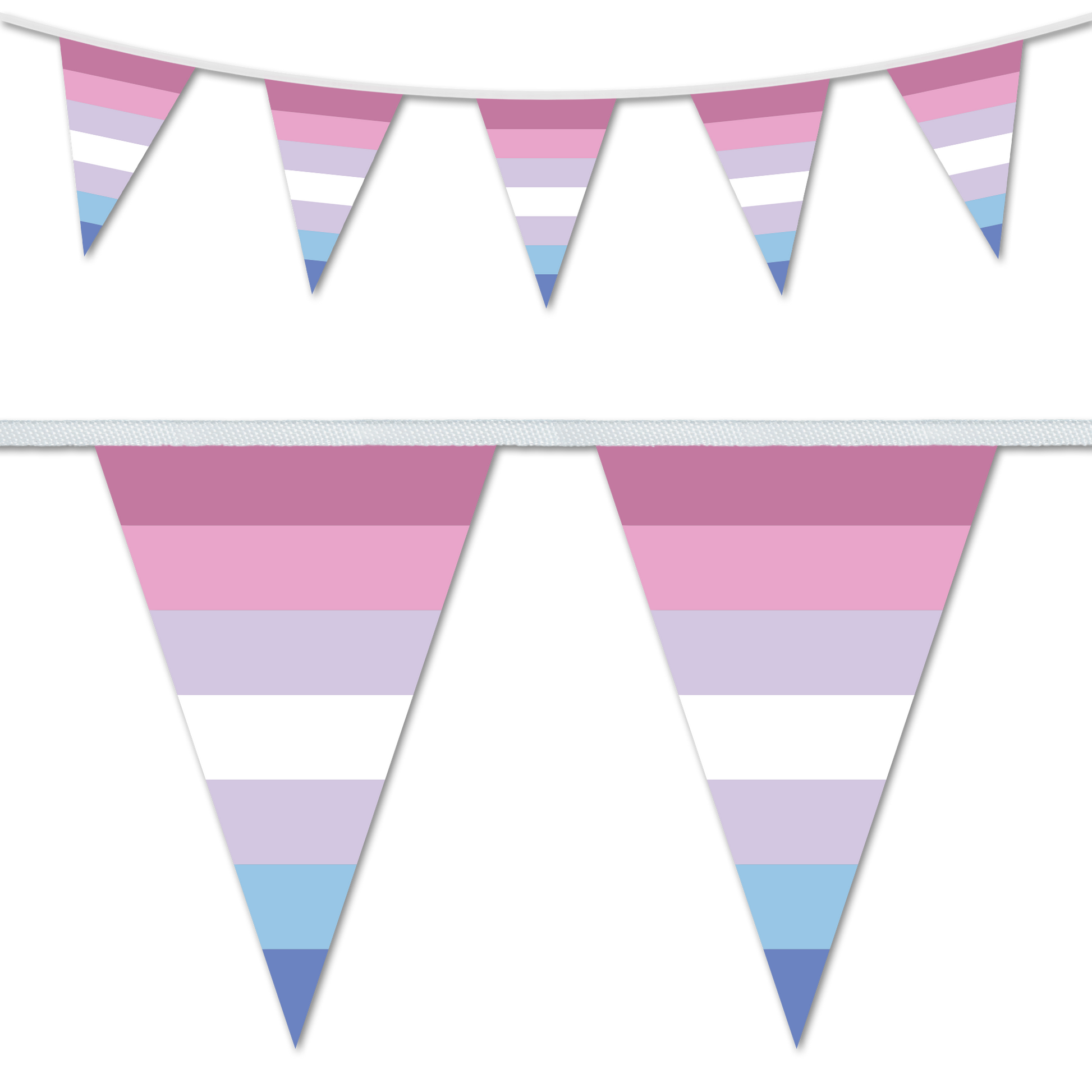 Bi Gender Pride Bunting Decoration