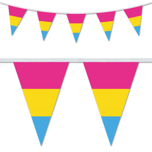 Pansexual Pride Bunting Decoration