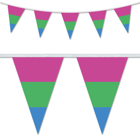 Polysexual Pride Bunting Decoration