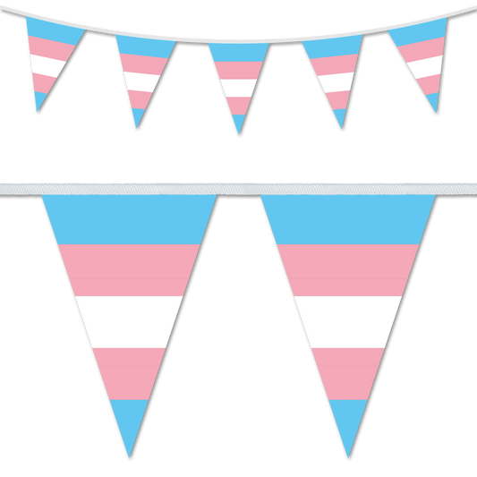Transgender Pride Bunting Decoration
