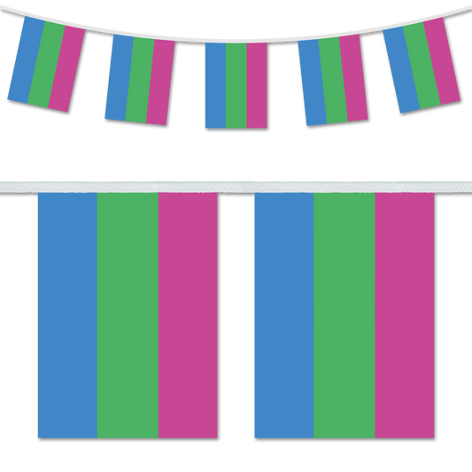 Polysexual Pride Bunting Decoration