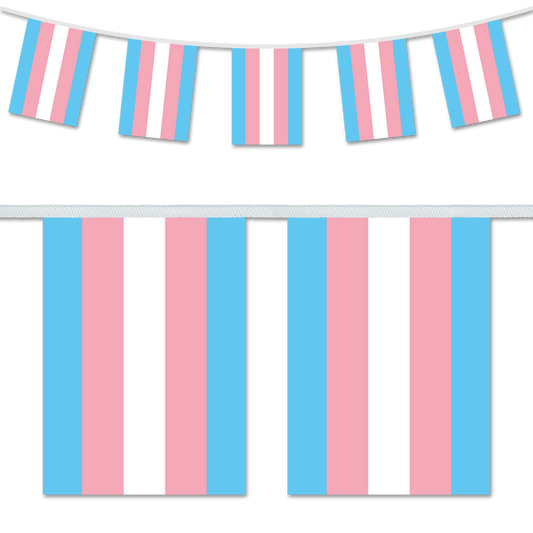 Transexual Pride Bunting Decoration