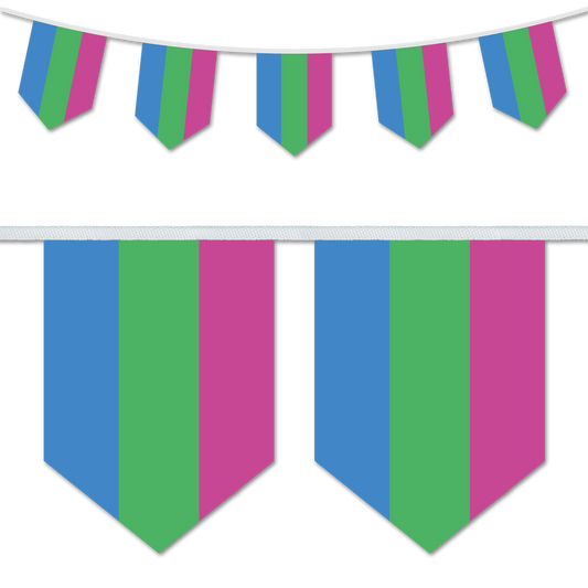 Polysexual Pride Bunting Decoration