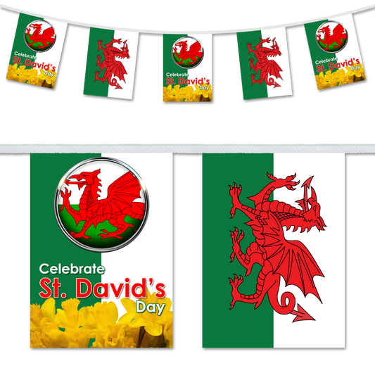 St David's Day Flag & Daffodils A5 Bunting