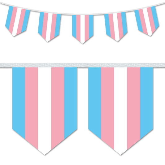 Transgender Pride Bunting Decoration