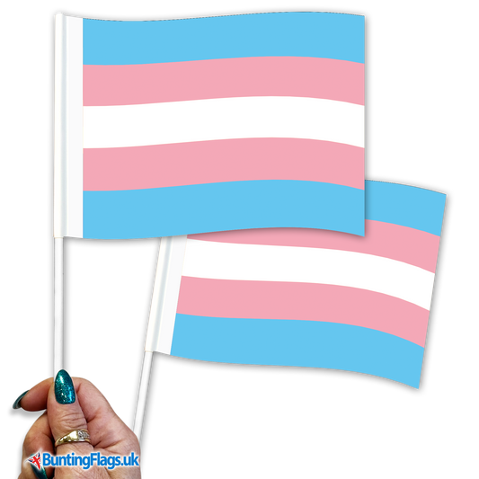 Transgender Pride Hand Waving Flag